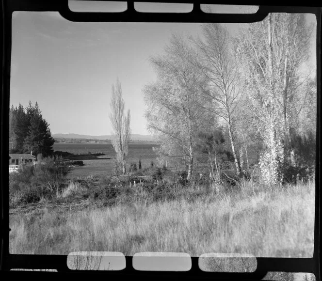 Lake Taupo, Taupo, showing rural area and part of a house