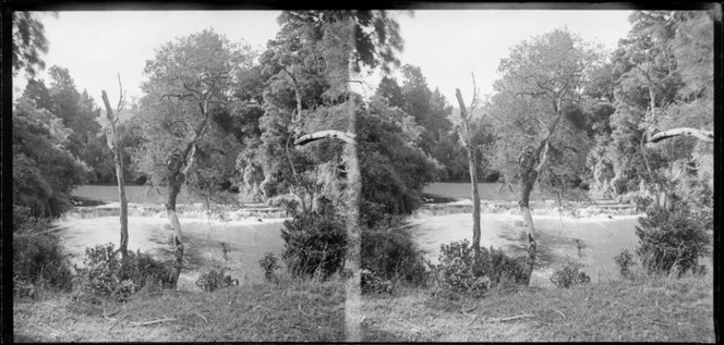 Rapids on unidentified river, Catlins area, Clutha District, Otago Region