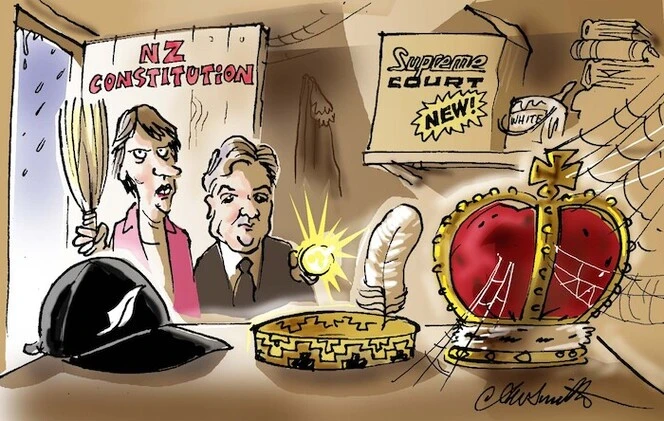Image result for privy council new zealand supreme court cartoon