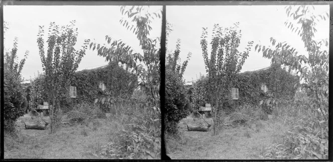 Garden and house of Motohou, Brunswick, near Wanganui