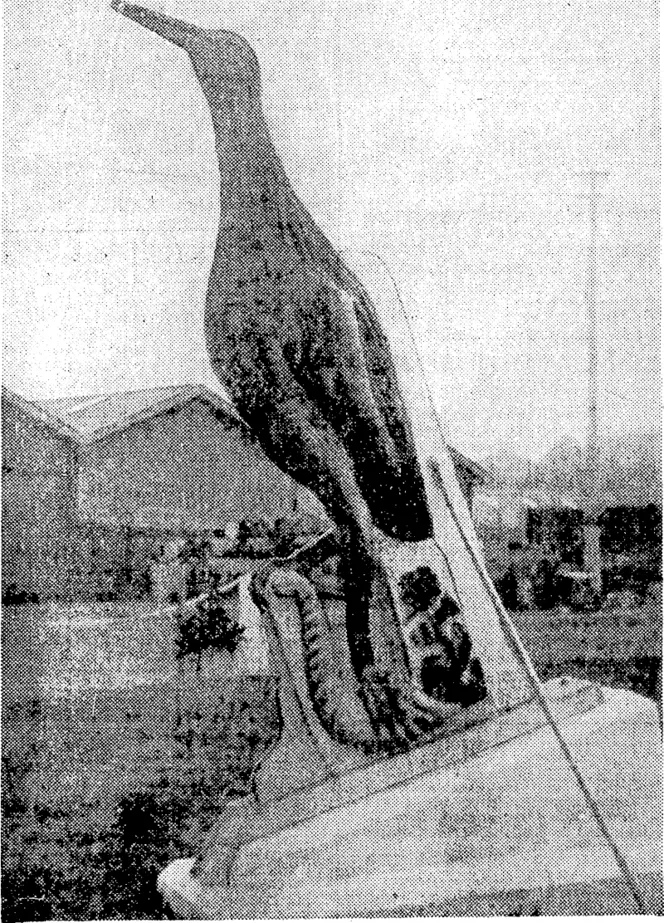 The figurehead of the brig Moa, the first vessel of any size to be built at Auckland, which is included in the fine collection at the Devonport Naval Base. While this birjd has little resemblance to the moa as we know it, it must be remembered that at the time it was carved (about 1849) the bird had not been reconstructed and the carver had to use his imagination and the legends that were common at the time. (Evening Post, 23 July 1938)