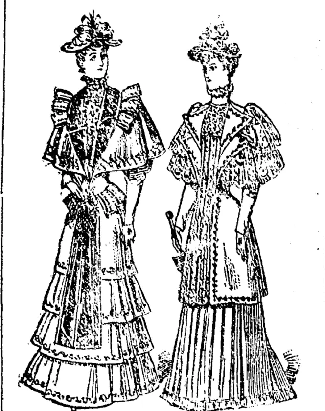 SPKINO GOWNS AND WRAPS. (Northern Advocate, 27 May 1893)