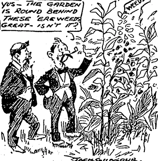 Untitled Illustration (NZ Truth, 03 January 1925)