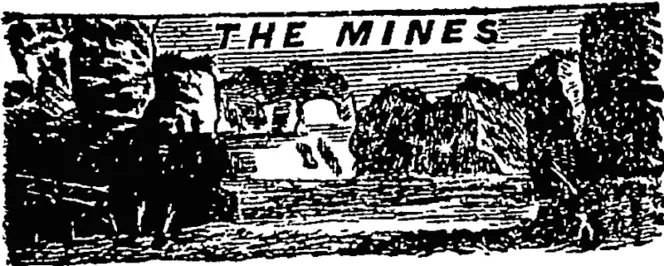 Untitled Illustration (Otago Witness, 20 December 1879)