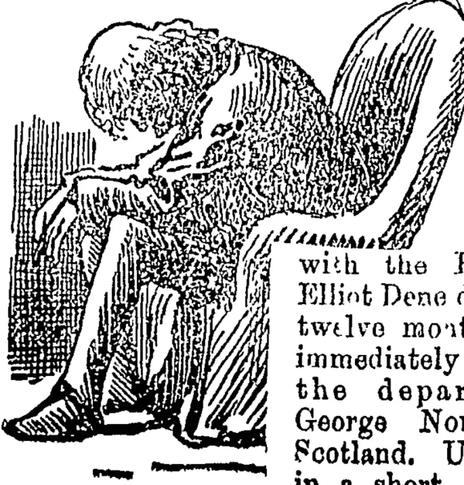 Untitled Illustration (Otago Witness, 03 January 1880)