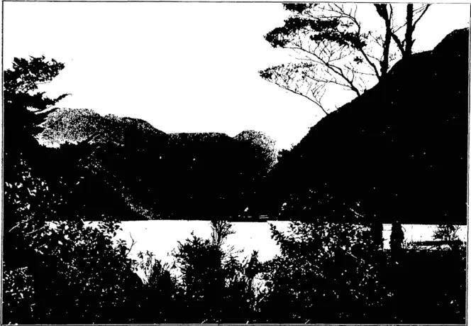 Muir and Moodie, photo. THE WEST COAST SOUNDS: WET JACKET ARM, DUSKY SOUND. (Otago Witness, 16 December 1903)