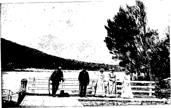 PICNIC PARTY WAITING FOR THE STEAMER, LAKE MANAPOURI. (Otago Witness, 06 April 1904)