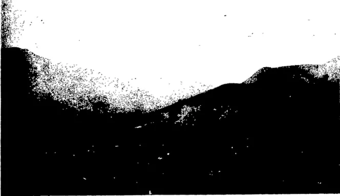 VIEW IN MOME GORGE.  The crosses indicate where the troops were during the fight (Otago Witness, 29 January 1908)