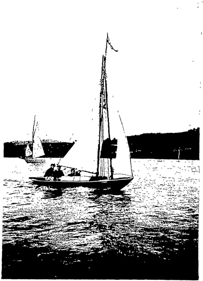 CRUISING IN OTAGO HARBOUR (Otago Witness, 29 January 1908)