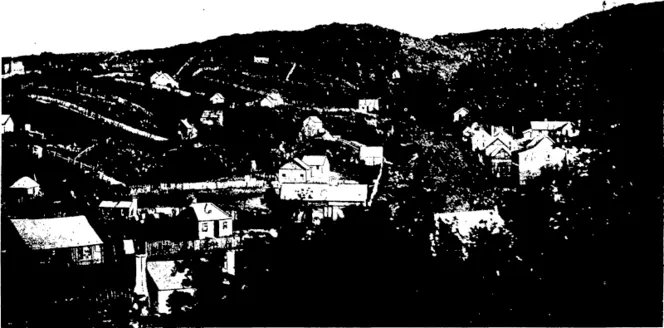 VIEW OF DUNEDIN IN 1856, LOOKING UP MACLAGGAN S'IREET (Otago Witness, 18 March 1908)