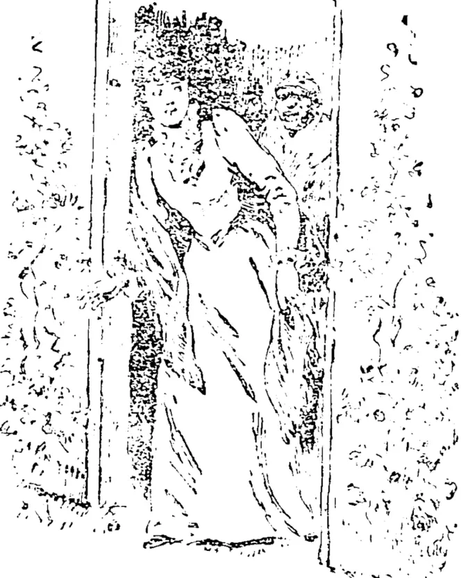 Untitled Illustration (Bruce Herald, 19 April 1895)