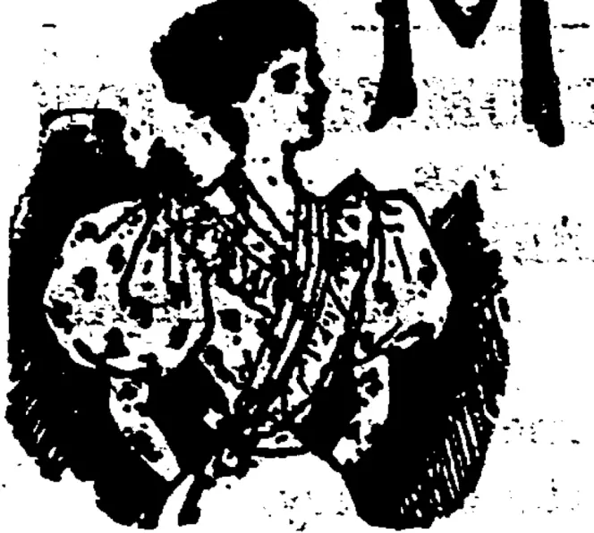 Untitled Illustration (Bruce Herald, 23 August 1898)