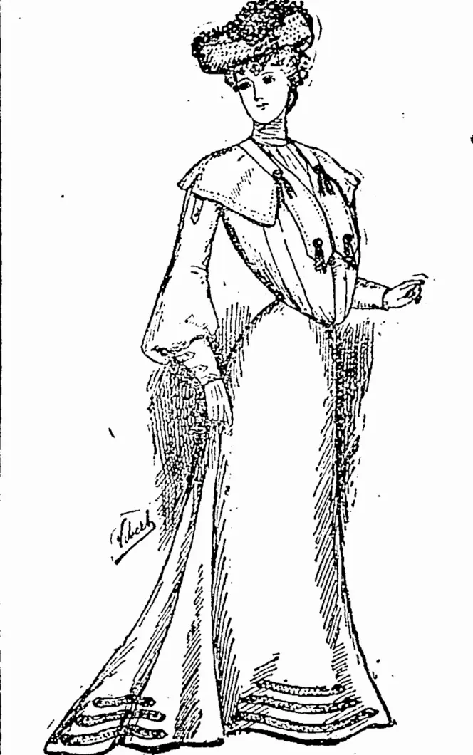 Untitled Illustration (Bruce Herald, 24 July 1903)