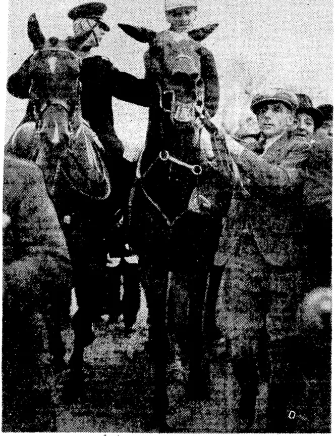 Outsider wins wartime Grand National. The surprise winner of the 1940 English Grand National Steeplechase at Aintree, Bogskar, returning to scale after beating MacMoffatt by four lengths, with Gold Arrow third. Bogskar is owned by Lord Stallbridge, and had M. Jones as his pilot. (Evening Post, 04 May 1940)