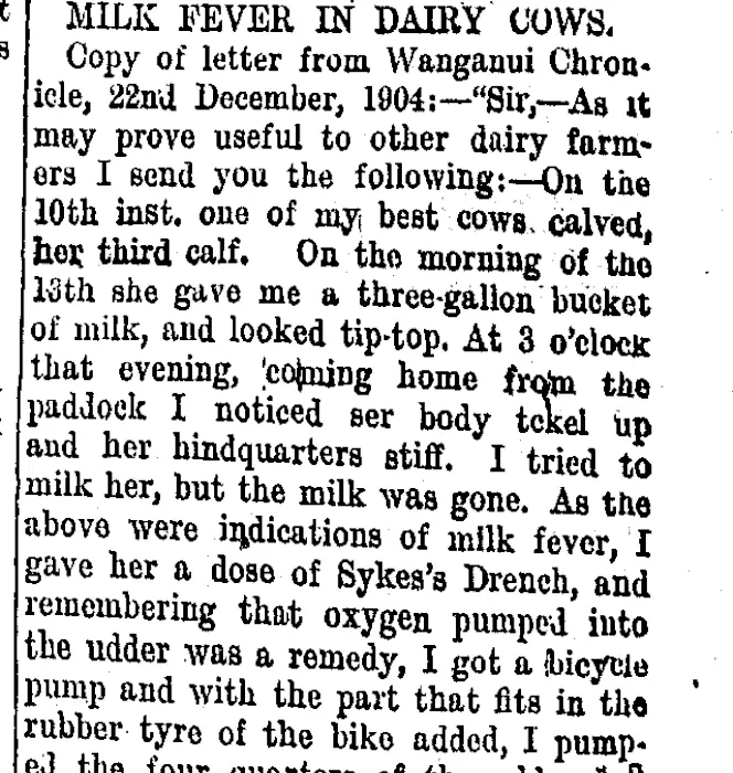 Page 2 Advertisements Column 7 (Taranaki Daily News 23-10-1907)