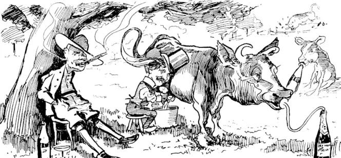 Mr Witheford could give practical instructions to the applicants in farming. We would guarantee the milk to carfy a good thick  cream. (Observer, 04 October 1902)