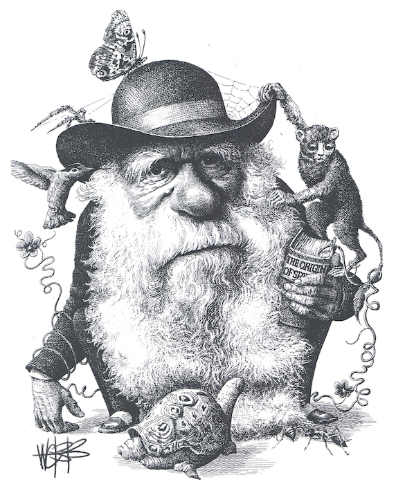 Image result for Charles Darwin cartoon
