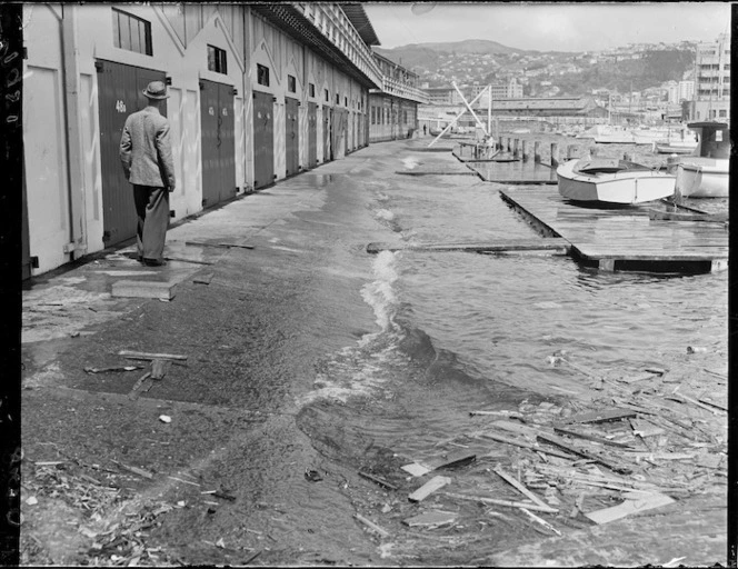 Boat harbour at Oriental Bay