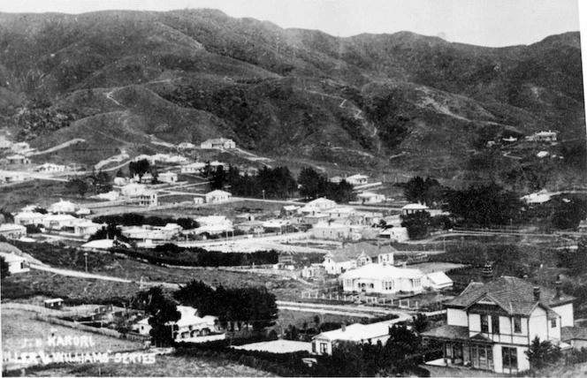 Overlooking Karori, Wellington