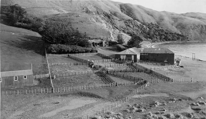 Te Kamaru Station homestead and shearing shed, Te Ikaamaru Bay, Wellington