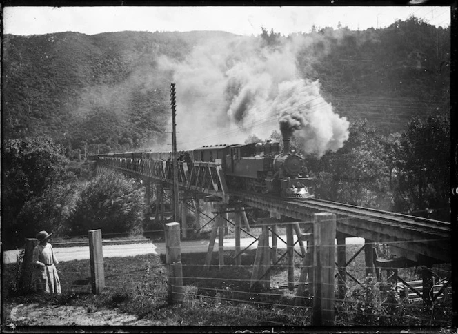 Race train crossing Silverstream Bridge