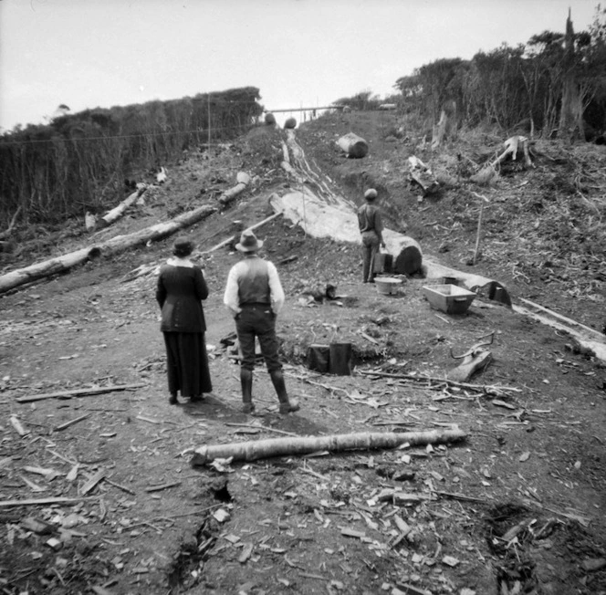 Logs coming down hill, Piha