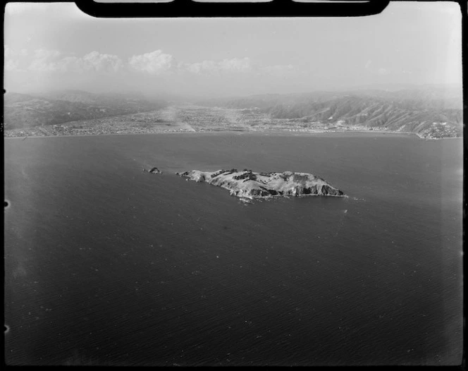 Somes Island, Wellington