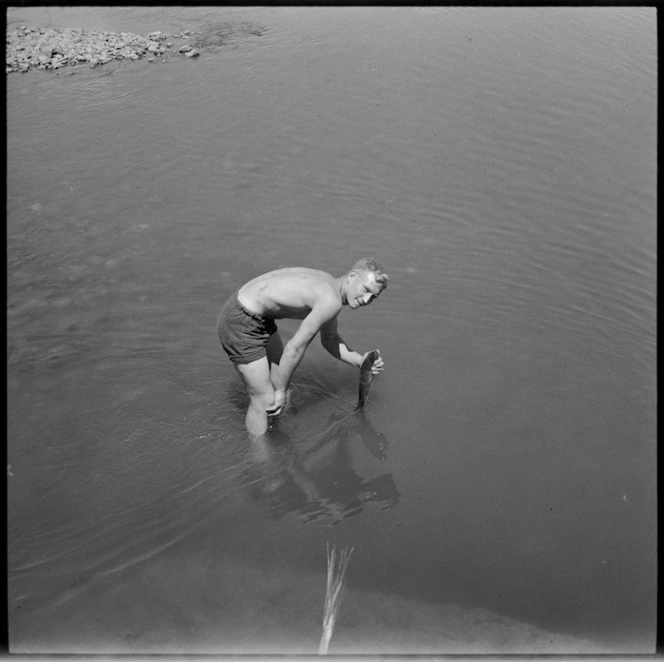 Soldier collecting stunned trout near Syrian Turkish border, World War II - Photograph taken by M D Elias