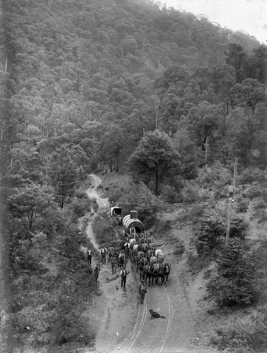 Hauling a boiler to a (Reefton?) gold mine, West Coast Region