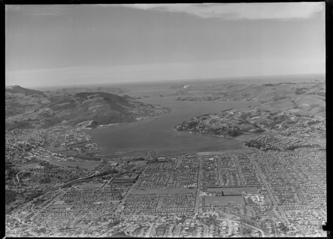 Dunedin City and Harbour