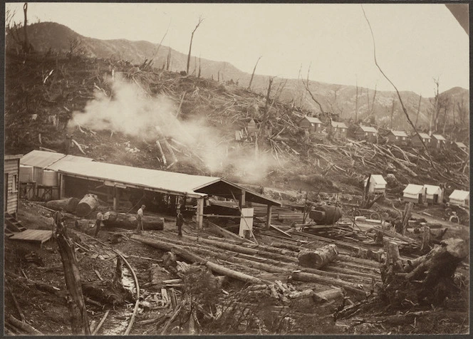 Sawmill providing timber for the Mangahao electric power project