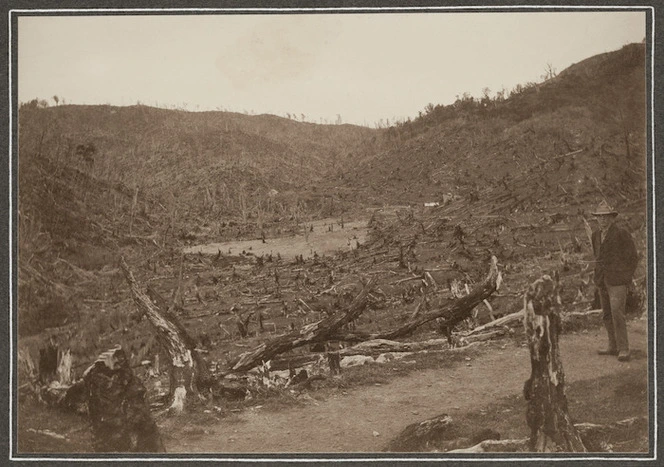 View of the lower valley of the Arapeti Stream