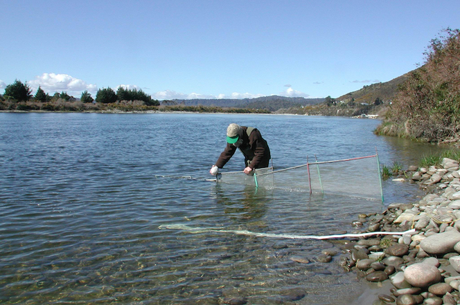 Photographs relating to fish and fishing