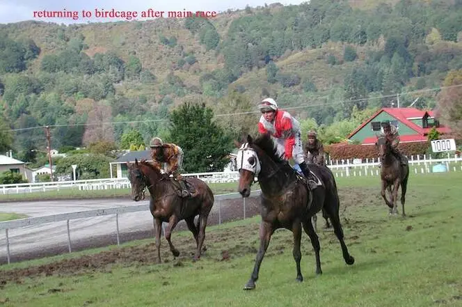 Photographs relating to horse racing