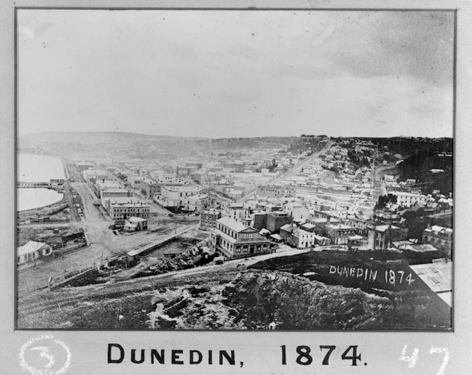 View of Dunedin