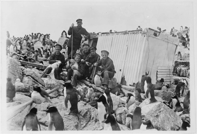 Captain Hooper, boys, and penguins on the Bounty Islands