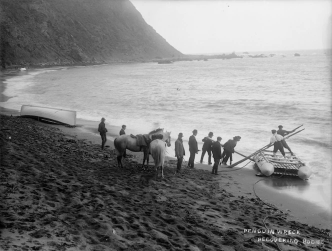 Beach between Cape Terawhiti and Sinclair Head, Wellington, with the raft used for recovering bodies after the wreck of the Penguin