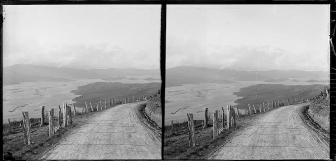 Near Highcliff, Dunedin, looking to the harbour