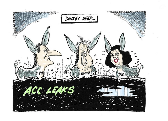 Hubbard, James, 1949- :Donkey deep...ACC leaks. 23 March 2012