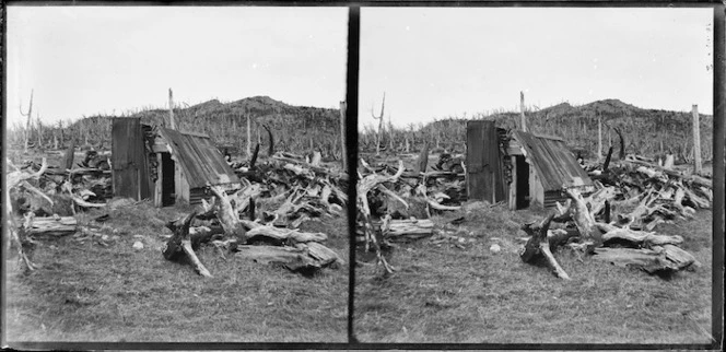 Hut amongst burnt timber, Mt Cargill, Dunedin