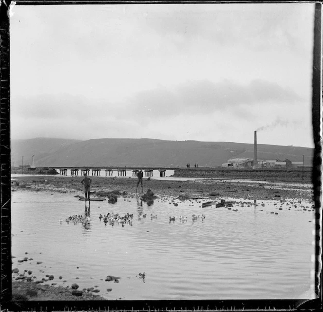 Mouth of the Leith, Dunedin