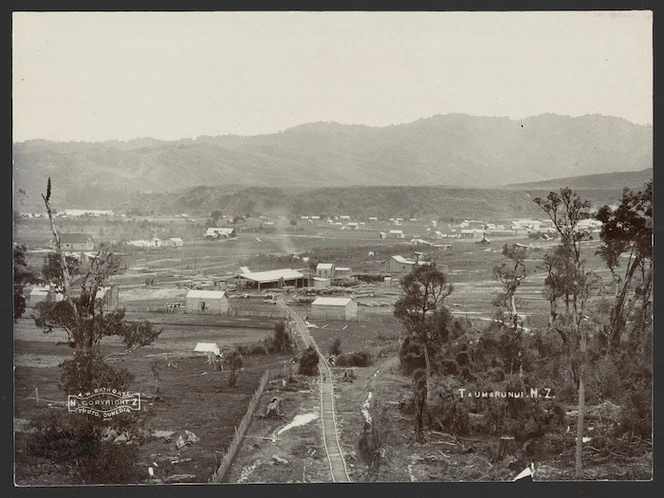 Sawmill and logging railway, Taumarunui