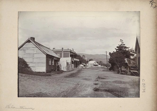 View of Pahautanui