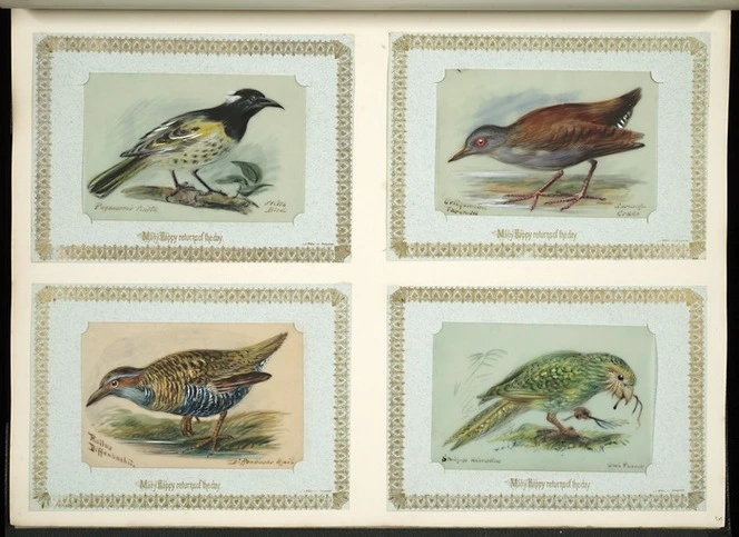 Archibald Dudingston Willis (Firm) :Pogonornis cincta / Stitch bird. Ortygometra tabuensis / Swamp crake. Rallus diffenbachii [ie Gallirallus dieffenbachii] / Diffenbach's rail [ie Dieffenbach's rail]. Stringops [ie Strigops] habrotilus / Owl parrot. [ca 1885]