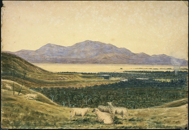 [Lyndon, Edward], fl 1860-1890s :[Sheep near Lake Wairarapa. 1860s].