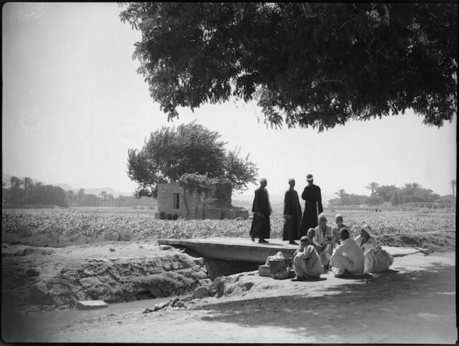 Rural scene beside a canal near Tura, Egypt - Photograph taken by George Kaye