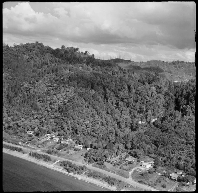 Bush land and houses by Lake Rotoma, Rotorua district