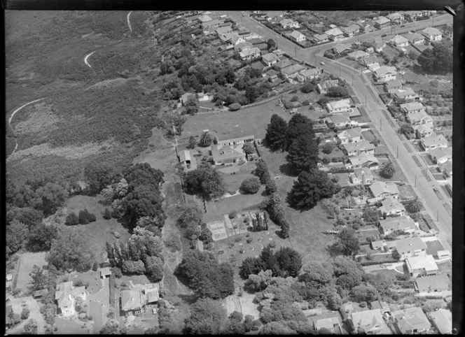 Mr A B Seccombe's property, Remuera, Auckland, with other residential properties and bush in the surrounding area