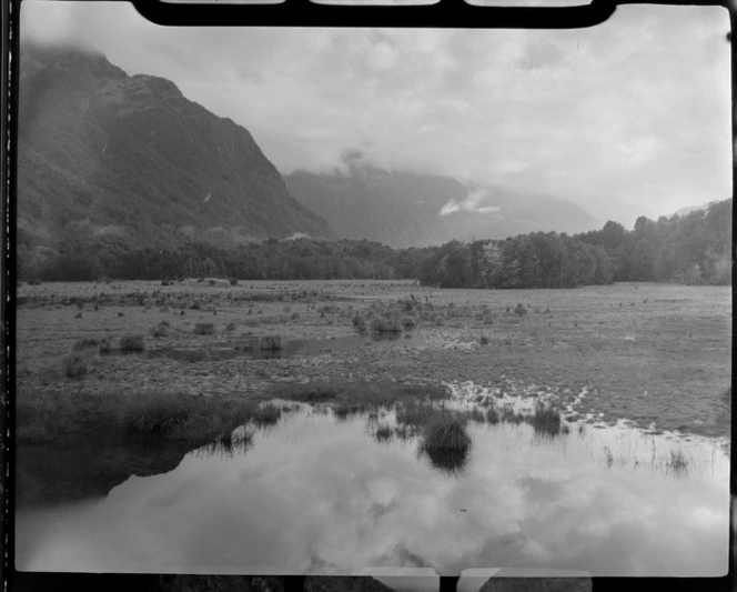 Eglinton Valley tussock and grass covered river flats with forested mountains beyond, Fiordland National Park, Southland Region