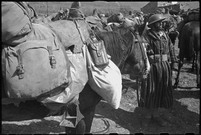 French Moroccan trooper's equipment packed on his horse on the Cassino Front in Italy, World War II - Photograph taken by George Kaye